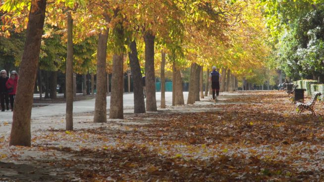 So schön ist der Herbst… in Madrid