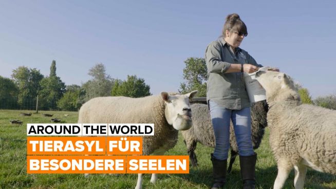 Around the world: die Farm für besondere Tiere