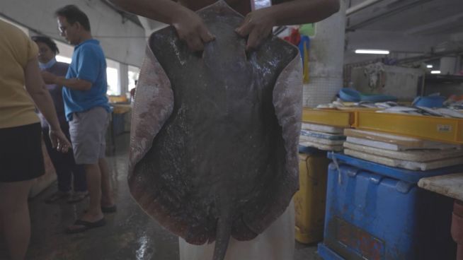 Adventurous Bites: Würdest du den malaysischen 'Teufelsfisch' probieren?