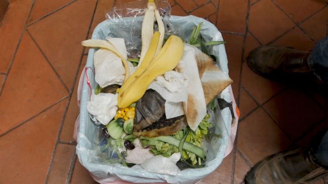 Erschreckende Zahlen: So viel Essen landet im Müll